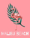 Malibu beach. Vector colorful poster with hand drawn illustration of flamingo Royalty Free Stock Photo