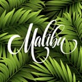 Malibu California handwriting lettering on the palm leaf tropical background. Vector illustration Royalty Free Stock Photo