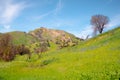 Malibu Creek State Park in California Royalty Free Stock Photo