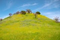 Malibu Creek State Park in California Royalty Free Stock Photo