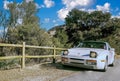 Malibu Porsche Turbo parked near fences surrounded by trees