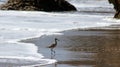 MALIBU, UNITED STATES - OCTOBER 9, 2014: Beautiful and romantic El Matador State Beach in Southern California Royalty Free Stock Photo