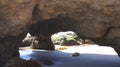 MALIBU, UNITED STATES - OCTOBER 9, 2014: Beautiful and romantic El Matador State Beach in Southern California Royalty Free Stock Photo