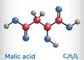 Malic acid C4H6O5 molecule, is alpha hydroxy acid AHA. E number 296, preservative. Molecule model