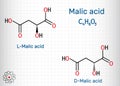 Malic acid, stereoisomeric forms D- and L-malic acid molecule. Skeletal chemical formula. Sheet of paper in a cage
