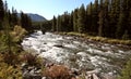 Maligne River in Jasper Royalty Free Stock Photo
