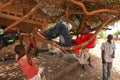 Malindi, Kenya - April 06, 2015: Unknown bare footed local African boy relaxing on tree branches and simple hammock from ropes, Royalty Free Stock Photo