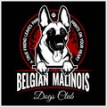 Malinois, Belgian Malinois, Belgian Shepherd Dog - vector illustration for t-shirt, logo and template badges Royalty Free Stock Photo