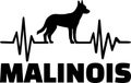 Malinois frequency silhouette