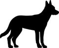 Malinois silhouette