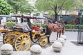 Horse-drawn carriage parks on the side road