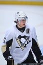 Malkin