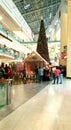 Mall Christmas celebrations Gathering