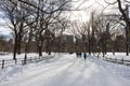 The Mall and Literary Walk at Central Park Covered with Snow during the Winter in New York City