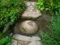 Mall stream with many green plants on the shore, with a hemispherical stepping stone in the middle to bridge