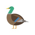 Mallard Bird Geometric Icon in Flat Design