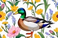 Mallard Duck animal waterfowl bird flowers