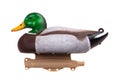Mallard Duck Decoy isolated on white Royalty Free Stock Photo