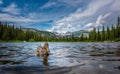 Mallard Duck at Lost Lake Colorado