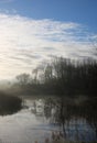 Mallard ducks in mist on countryside pond Royalty Free Stock Photo