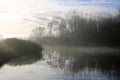 Mallard ducks in mist on countryside pond Royalty Free Stock Photo