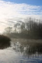 Mallard ducks in mist on countryside pond Royalty Free Stock Photo