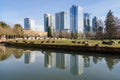 Mallard ducks rest in the morning sun with the Bellevue skyline reflection