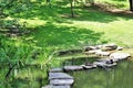 Mallard ducks in garden Royalty Free Stock Photo