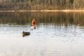 Mallard ducks swim next to the buoy. Royalty Free Stock Photo