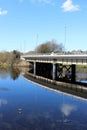 Mallards, River Lune, Greyhound Bridge, Lancaster