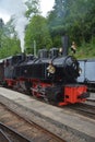 Mallet Steam Railway Locomotive G 2x 2/2 105 SEG