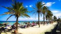 Mallorca beach with palm trees and sun beds.