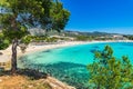 Mallorca beach Palmanova