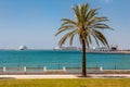 Mallorca embankment overlooking the cruise ships.