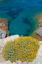 Mallorca, Majorca, Balearic Islands, Spain, Mediterranean Sea, cove, bay, nature, landscape, secret place, desert, beach, flowers Royalty Free Stock Photo