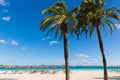 Mallorca Platja de Alcudia beach in Majorca Royalty Free Stock Photo