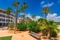 Park promenade with palm trees in Colonia de Sant Jordi, Majorca