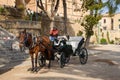 Horse carriage in Old Town of Palma de Mallorca on the Island of Mallorca, Baleares, Spain Royalty Free Stock Photo