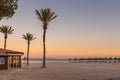 Palm trees at the Playa de Alcudia beach in Mallorca, Spain Royalty Free Stock Photo