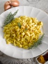 Malloreddus pasta with mozzarella Royalty Free Stock Photo