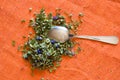 Mallow herbal tea Royalty Free Stock Photo