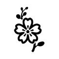 Mallow, Malva, spring blooming perennial flower and plant with petals and leaves, graphic, vector, illustration in black and white