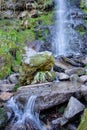 Mallyan Spout waterfall in Goathland in the North York Moors Royalty Free Stock Photo