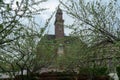 MalmÅ¡ - MalmÅ¡ Central Station's historic brick clock tower, viewed through delicate green leaves of budding trees Royalty Free Stock Photo