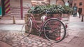 MalmÃÂ¶, Sweden - February 1, 2020: Many broken bicycles are seen in the city of MalmÃÂ¶. Abandoned,, stolen, lost or vandalized
