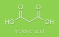 Malonic acid organic dicarboxylic acid molecule. Skeletal formula. Royalty Free Stock Photo