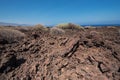 Malpais de Guimar, badlands volcanic landscape in Tenerife, Canary island, Spain. Royalty Free Stock Photo