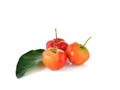 Malpighia glabra,Acerola fruit on white background Royalty Free Stock Photo