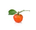 Malpighia glabra,Acerola fruit on white background Royalty Free Stock Photo