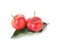 Malpighia glabra,Acerola fruit on white background Royalty Free Stock Photo